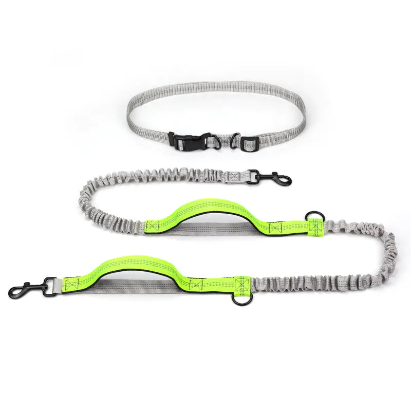 Outdoor Running Dog Leash Supplies