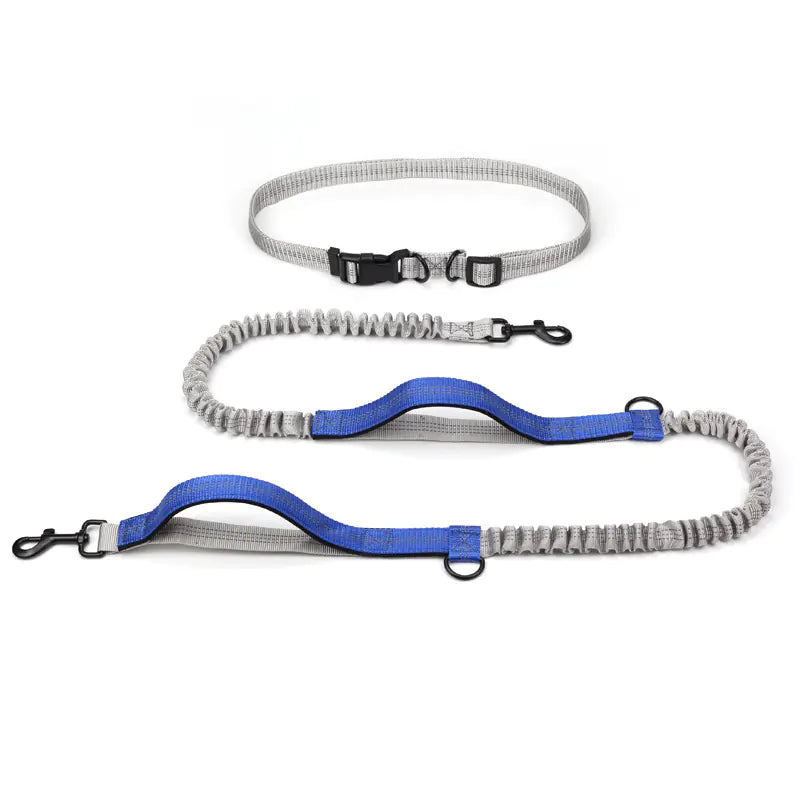 Outdoor Running Dog Leash Supplies