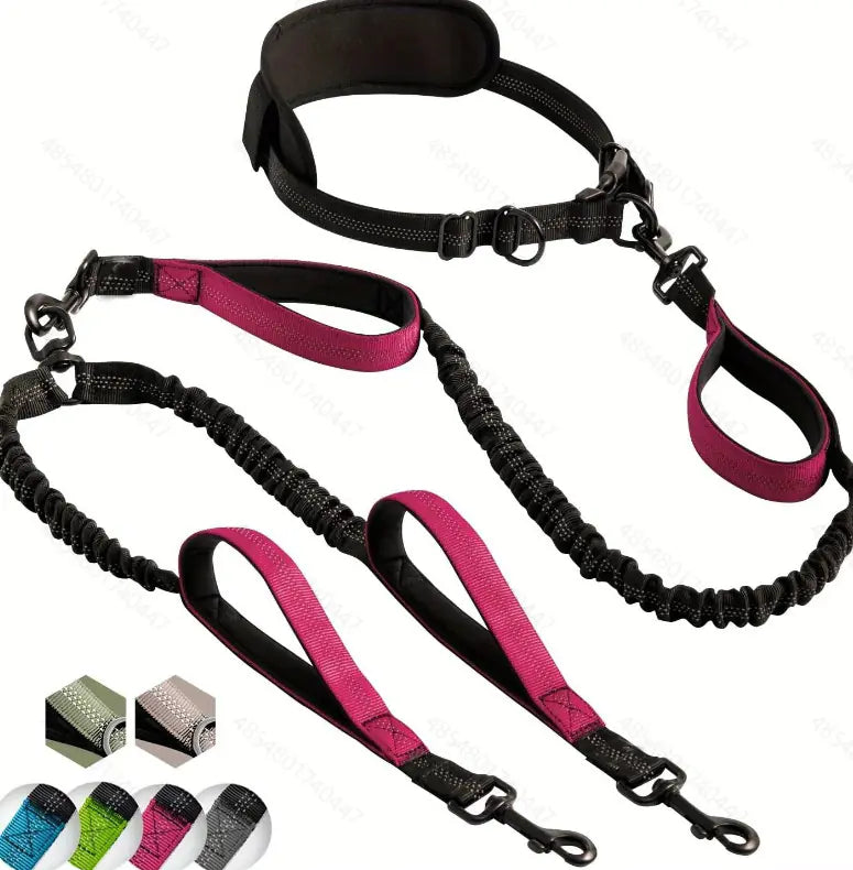 Multi-Function Dog Leash