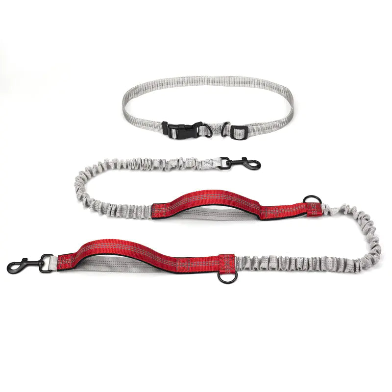Outdoor Running Dog Leash Supplies