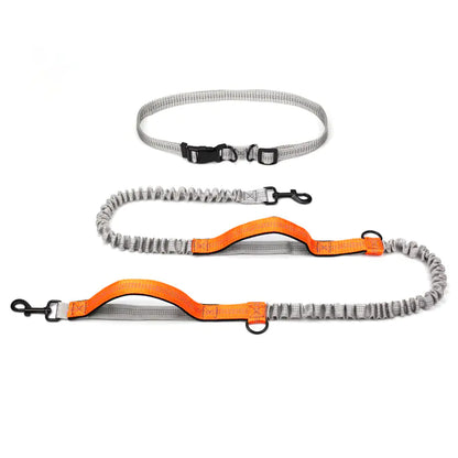 Outdoor Running Dog Leash Supplies