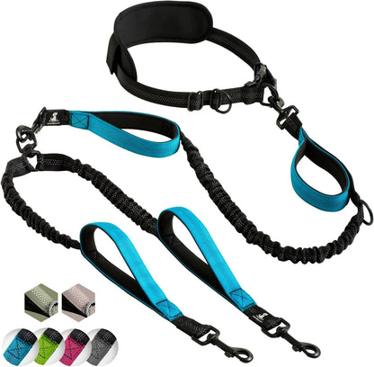 Multi-Function Dog Leash