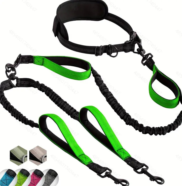 Multi-Function Dog Leash