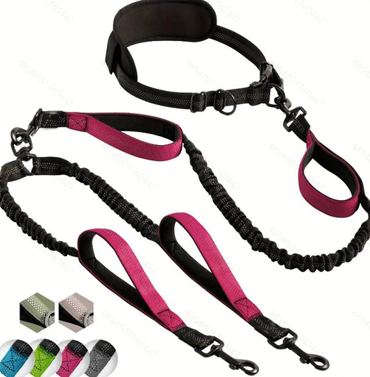 Multi-Function Dog Leash